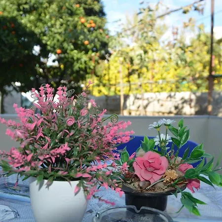 Daire Kiri S.apartaments *